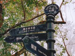 -中山公园