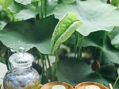 -花之城