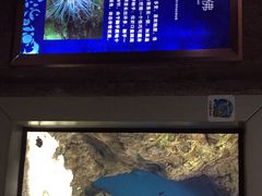 -福州罗源湾海洋世界旅游区