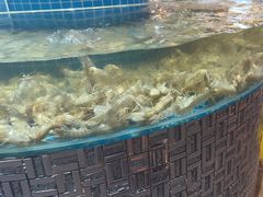 -蓝珊甄选海鲜自助·火锅大排档(近阿那亚店)
