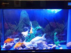 -宜昌富力皇冠假日酒店·咖啡1号西餐厅