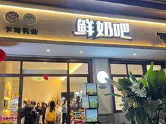-乍甸乳业鲜奶吧(红河水乡店)