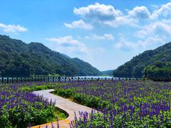 -广州市石门国家森林公园