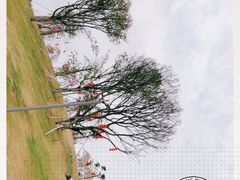 -白石龙音乐公园