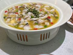 -青花椒花椒鱼(合生汇店)