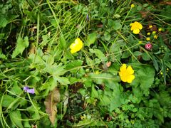 -白草畔自然风景区