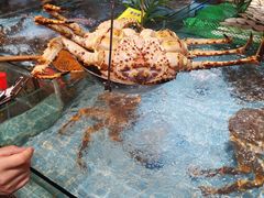 -79号渔船海鲜饭店(宝安店)