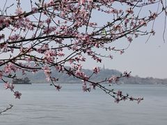-西湖天地