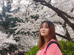 -武汉大学-樱园
