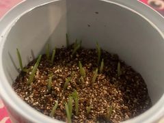 -斯坦星球青少儿编程机器人科学乐高思维专注力科创竞赛规划(武汉凯德西城学习中心)