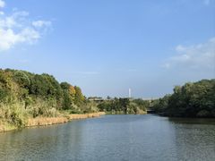 -白鹭湾湿地公园