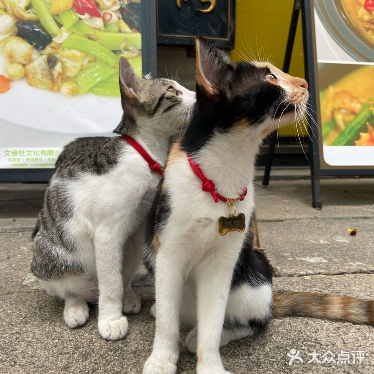 美食是生活的调味剂，“文会社”是你的美食天堂