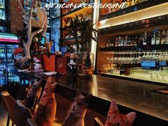 -Famous肥猫墨西哥音乐餐吧(五棵松华熙LIVE店)