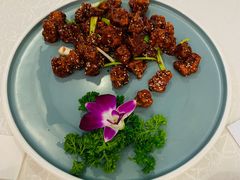 -北纬39度天津宴(黑牛城道店)