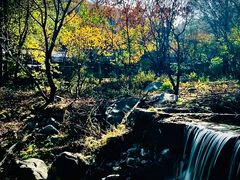 -玉渡山自然风景区