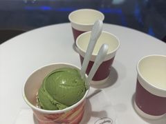 抹茶单球-哈根达斯(天河城店)