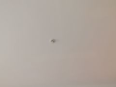 -苏州吴中白金汉爵大酒店