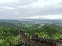 -云碧峰国家森林公园