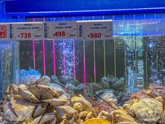 -南海渔村(珠江新城店)