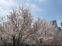 -武汉长江大桥