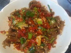 鸭掌筋-壹盏灯(惠农店)