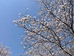 -长田漾湿地公园