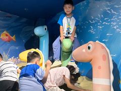 -海合安武汉极地海洋公园