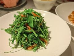 -西郊5号·Maggie 5