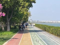 -贡湖湾湿地公园