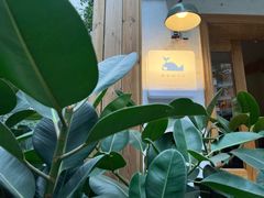 -懒鱼时光馆(沙坪坝店)
