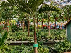 -南宫五洲植物乐园