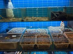 -鑫正兴东北烧烤(滨湖店)
