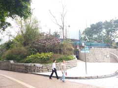 -九龙公园