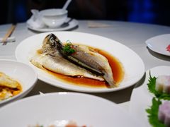 -芙蓉堂(武汉天地店)