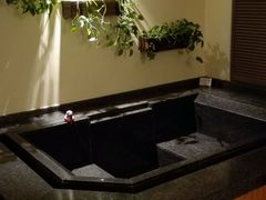 android_upload_pic-春晖园度假酒店温泉