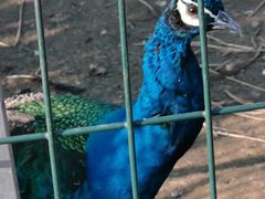 -云漫湖生态度假公园