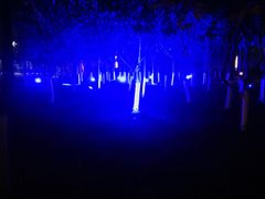 -长春公园(普阳街道)