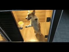 -宠物之家Pets Home 宠物寄养酒店
