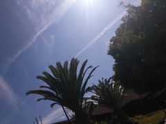 -世界恐龙谷景区