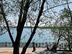 -野鸭湖国家湿地公园