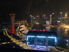 -新加坡摩天观景轮