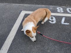 -中国航天博物馆