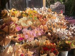 -The Grounds of Alexandria