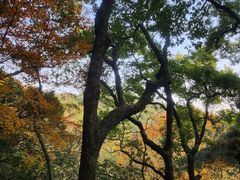 -宁波市保国寺古建筑博物馆