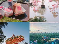 -芽庄珍珠岛游乐园