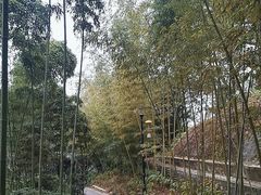 -龙头寺公园