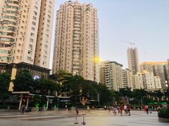-水围村