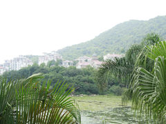 阳台景-广州碧桂园凤悦凤凰城酒店