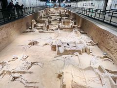 -洛阳周王城天子驾六博物馆