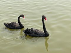 -南大港湿地风景区